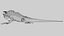 Iguana 3D