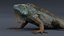 Iguana 3D