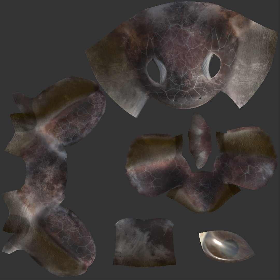 Cartoon Sea Turtle in The Ocean 3D model https://p.turbosquid.com/ts-thumb/2F/W7ivVr/8S/screenshot20230731175756/png/1690819392/1920x1080/fit_q87/67b585715000cd476d0e1669871d2a876696c220/screenshot20230731175756.jpg