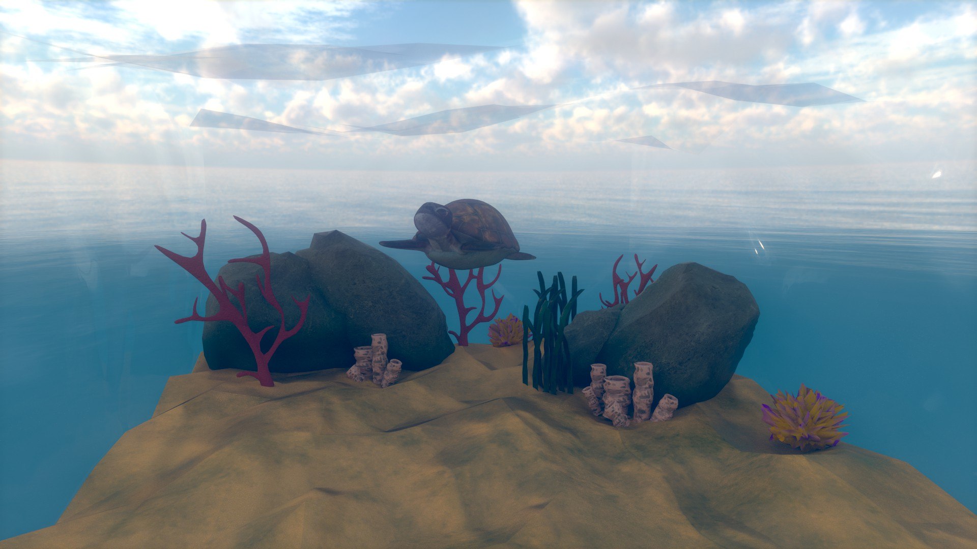 Cartoon Sea Turtle in The Ocean 3D model https://p.turbosquid.com/ts-thumb/2F/W7ivVr/jt/02/jpg/1690816058/1920x1080/fit_q87/5f880a283591cfe15fcddd3c9d701025954ffcfd/02.jpg