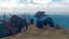 Desenho de tartaruga marinha no oceano