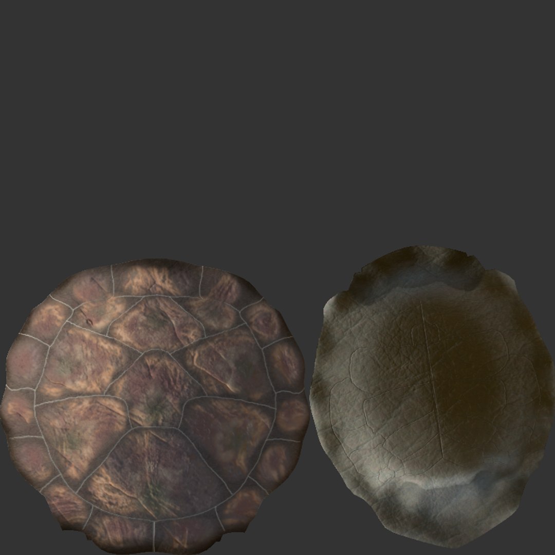 Cartoon Sea Turtle in The Ocean 3D model https://p.turbosquid.com/ts-thumb/2F/W7ivVr/z2/screenshot20230731175840/png/1690819393/1920x1080/fit_q87/0a24d18492af203a4f1a352ee71d417aaead6b49/screenshot20230731175840.jpg