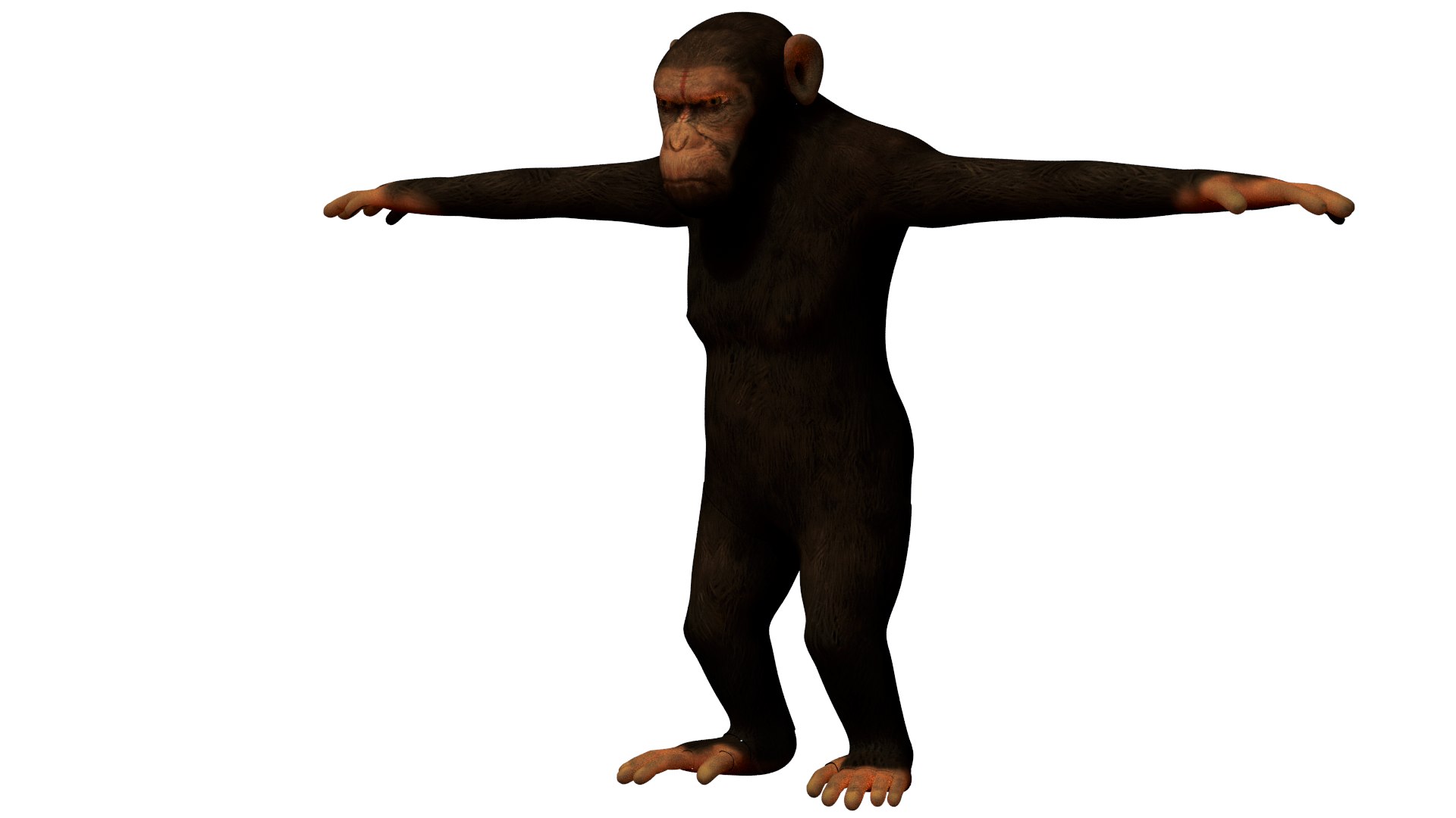 3d - model
