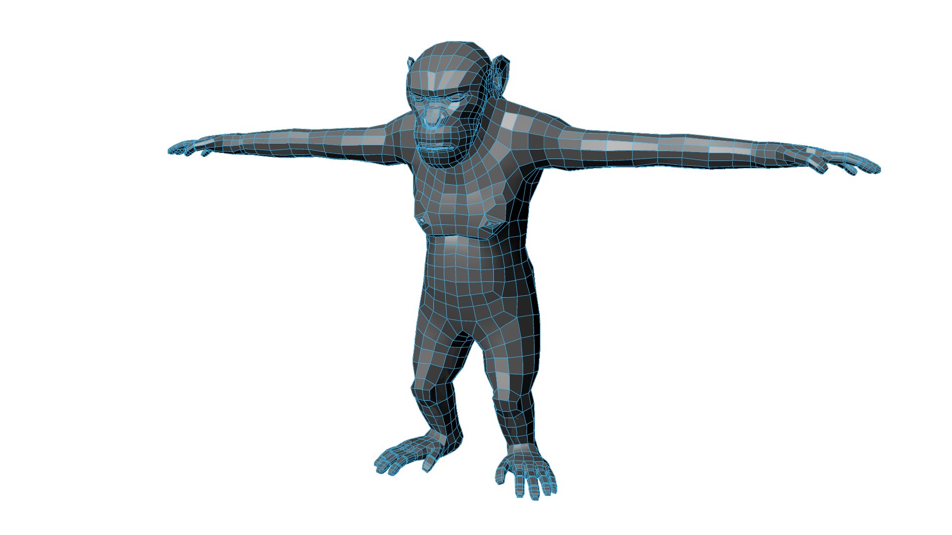 3d - model