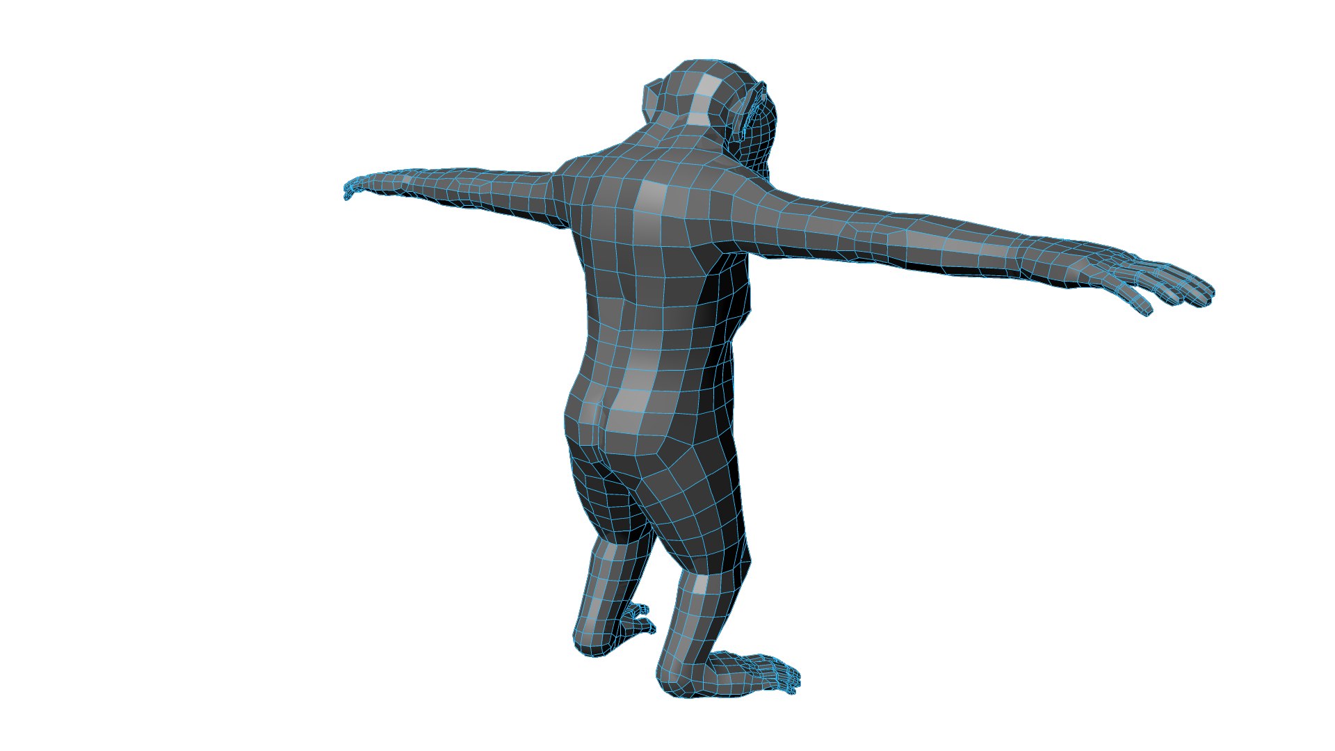 3d - model