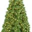 Sapin de Noël 9 pieds avec lumières
