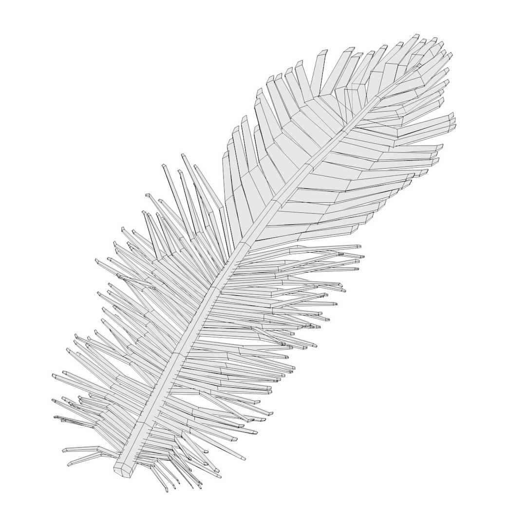 bird feather 3d 3ds https://p.turbosquid.com/ts-thumb/2F/cy3ouq/BwGrnplO/featherw/jpg/1414235144/1920x1080/fit_q87/1e0c7a1d0c99cbf103962e50d4316f7a7b8a8707/featherw.jpg