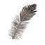Feather