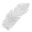 Feather