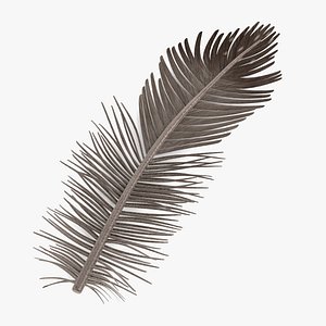 Feather