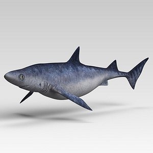 Shark