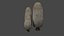 Grzyb Coprinus Comatus