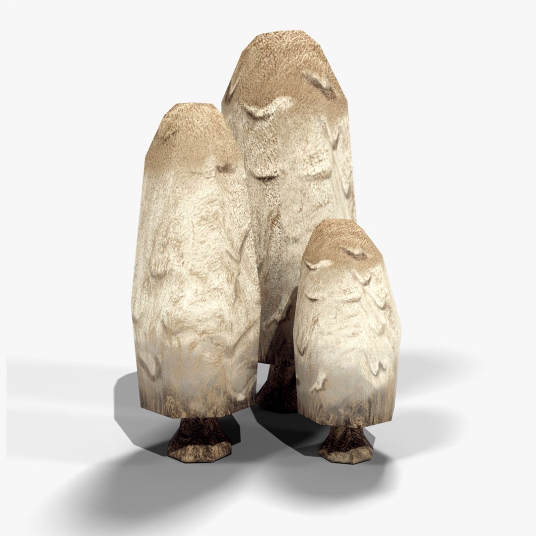 Coprinus Comatus Mushroom 3D model https://p.turbosquid.com/ts-thumb/2F/jdZk3M/NQ/squidsearchimage/jpg/1766059259/1920x1080/fit_q87/94237c1e84e987467605e8583f8abd70b2bd8e73/squidsearchimage.jpg