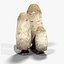 Grzyb Coprinus Comatus