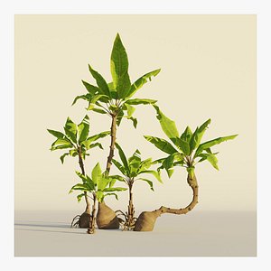 Palm tree set Cartoon Stylized Hand painted