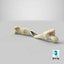 Real Dog Thigh Bone Femur Broken Two Pieces