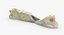 Real Dog Thigh Bone Femur Broken Two Pieces
