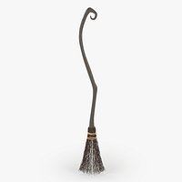 Witch Broom