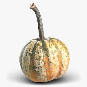 Pumpkin 7