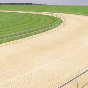 3D model Horse Track Road