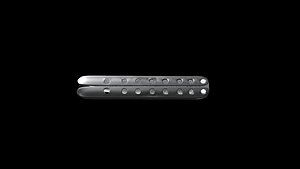 Butterfly Knife
