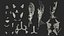 Boy Full Body Anatomy