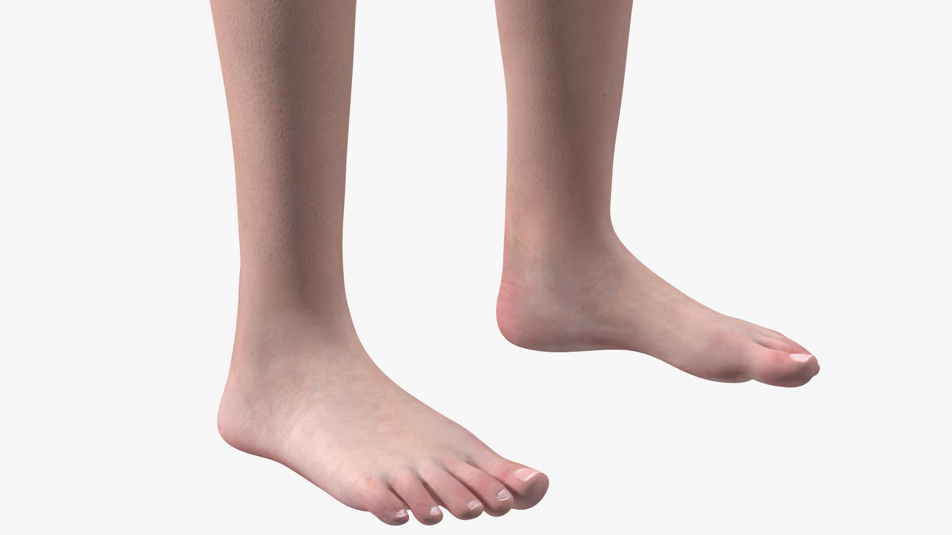 Boy Full Body Anatomy 3D model https://p.turbosquid.com/ts-thumb/2G/NtAV4W/1b/boyfullbodyanatomyvray3dmodel076/jpg/1667337880/1920x1080/fit_q87/561dd8db3ad5b88f47f9eb588b9cf285c3c0d83b/boyfullbodyanatomyvray3dmodel076.jpg