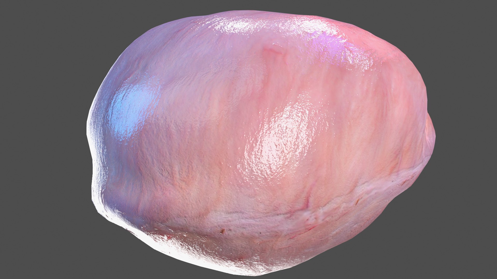 Boy Full Body Anatomy 3D model https://p.turbosquid.com/ts-thumb/2G/NtAV4W/23/boyfullbodyanatomyvray3dmodel040/jpg/1667337748/1920x1080/fit_q87/0413abc8e8e41abb50ec717fca11eb50b30e9824/boyfullbodyanatomyvray3dmodel040.jpg