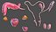 Boy Full Body Anatomy