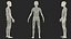 Boy Full Body Anatomy