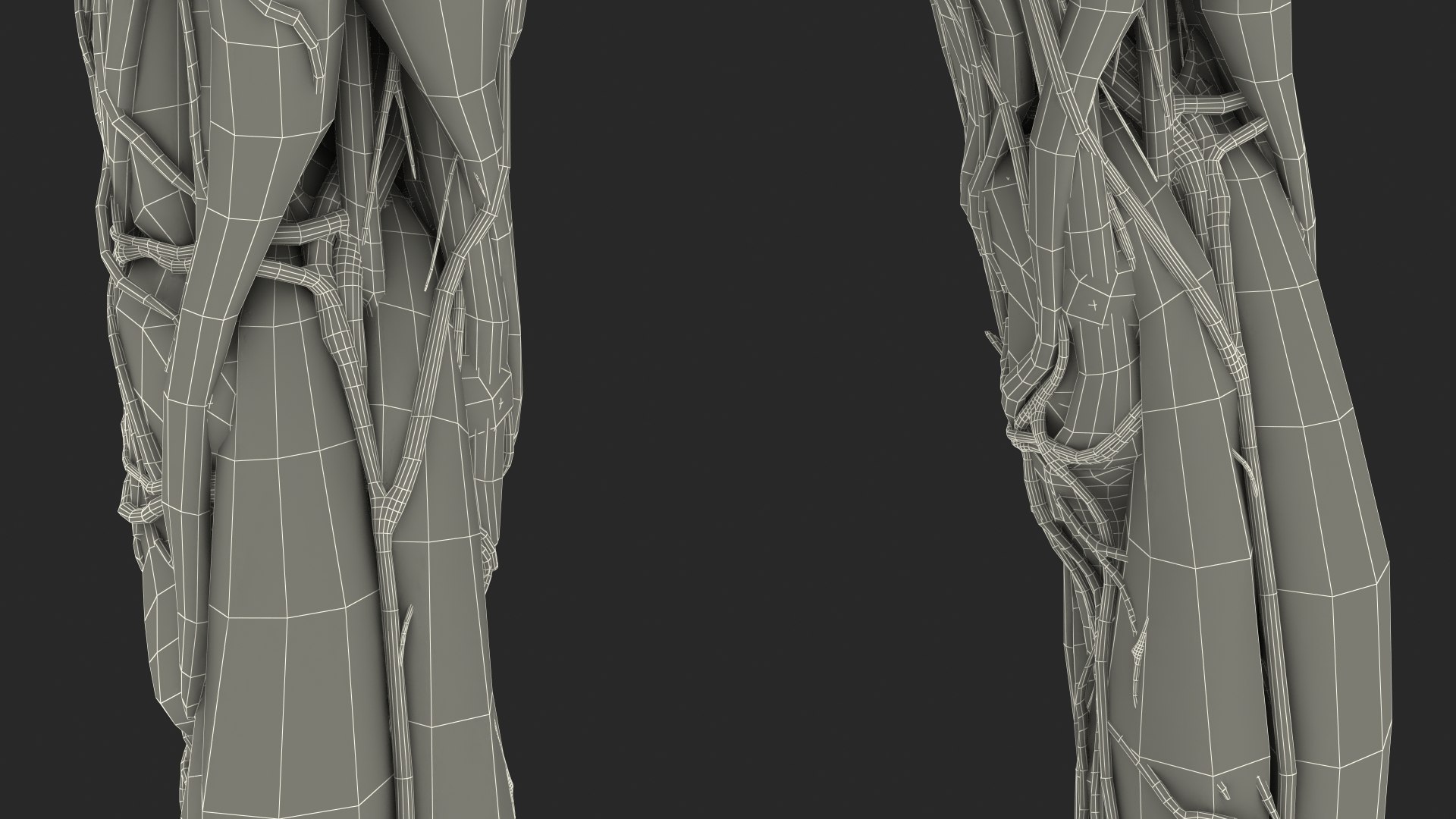 Boy Full Body Anatomy 3D model https://p.turbosquid.com/ts-thumb/2G/NtAV4W/E0/boyfullbodyanatomyvray3dmodel089/jpg/1667337930/1920x1080/fit_q87/0d90a67d38227feaf268da7c086ef7331c0df998/boyfullbodyanatomyvray3dmodel089.jpg