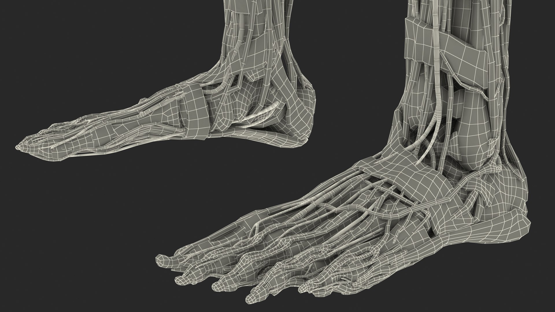Boy Full Body Anatomy 3D model https://p.turbosquid.com/ts-thumb/2G/NtAV4W/El/boyfullbodyanatomyvray3dmodel090/jpg/1667337934/1920x1080/fit_q87/570f4d68eeb94894b1ff302e445711e37d4900e5/boyfullbodyanatomyvray3dmodel090.jpg