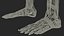 Boy Full Body Anatomy