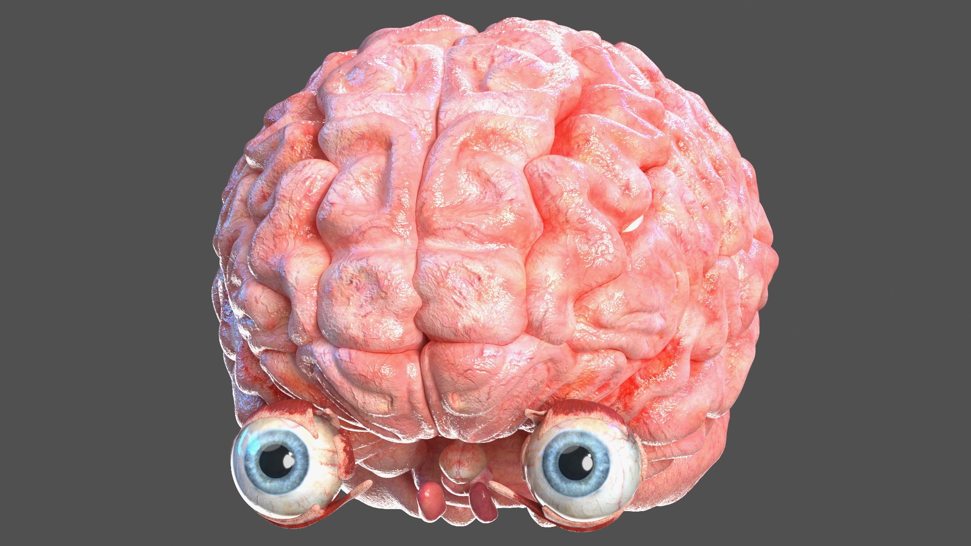 Boy Full Body Anatomy 3D model https://p.turbosquid.com/ts-thumb/2G/NtAV4W/Em/boyfullbodyanatomyvray3dmodel026/jpg/1667337681/1920x1080/fit_q87/d79395440630f511dd61fba605d911807591438c/boyfullbodyanatomyvray3dmodel026.jpg