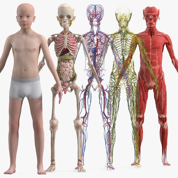3D Realistic Boy - TurboSquid 2136382
