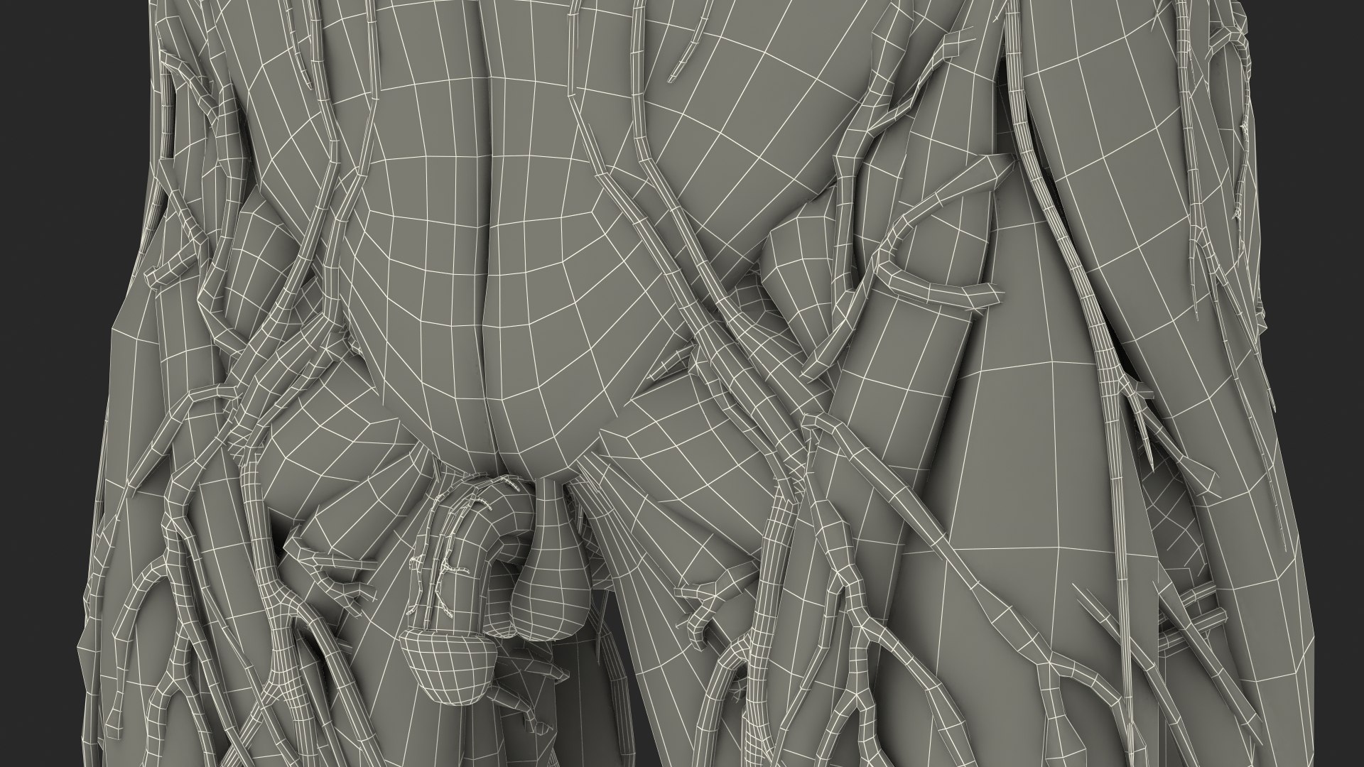 Boy Full Body Anatomy 3D model https://p.turbosquid.com/ts-thumb/2G/NtAV4W/MA/boyfullbodyanatomyvray3dmodel088/jpg/1667337926/1920x1080/fit_q87/5eefd227440fcf82937e0d71a04b17b792ac8d50/boyfullbodyanatomyvray3dmodel088.jpg