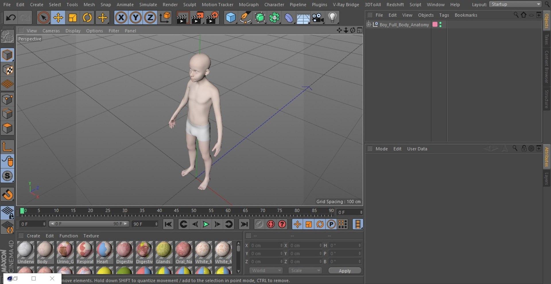 Boy Full Body Anatomy 3D model https://p.turbosquid.com/ts-thumb/2G/NtAV4W/MO/boyfullbodyanatomyvray3dmodel101/jpg/1667337978/1920x1080/fit_q87/2e657a9d1f57ed2e68106569bd69b2fb2942a167/boyfullbodyanatomyvray3dmodel101.jpg