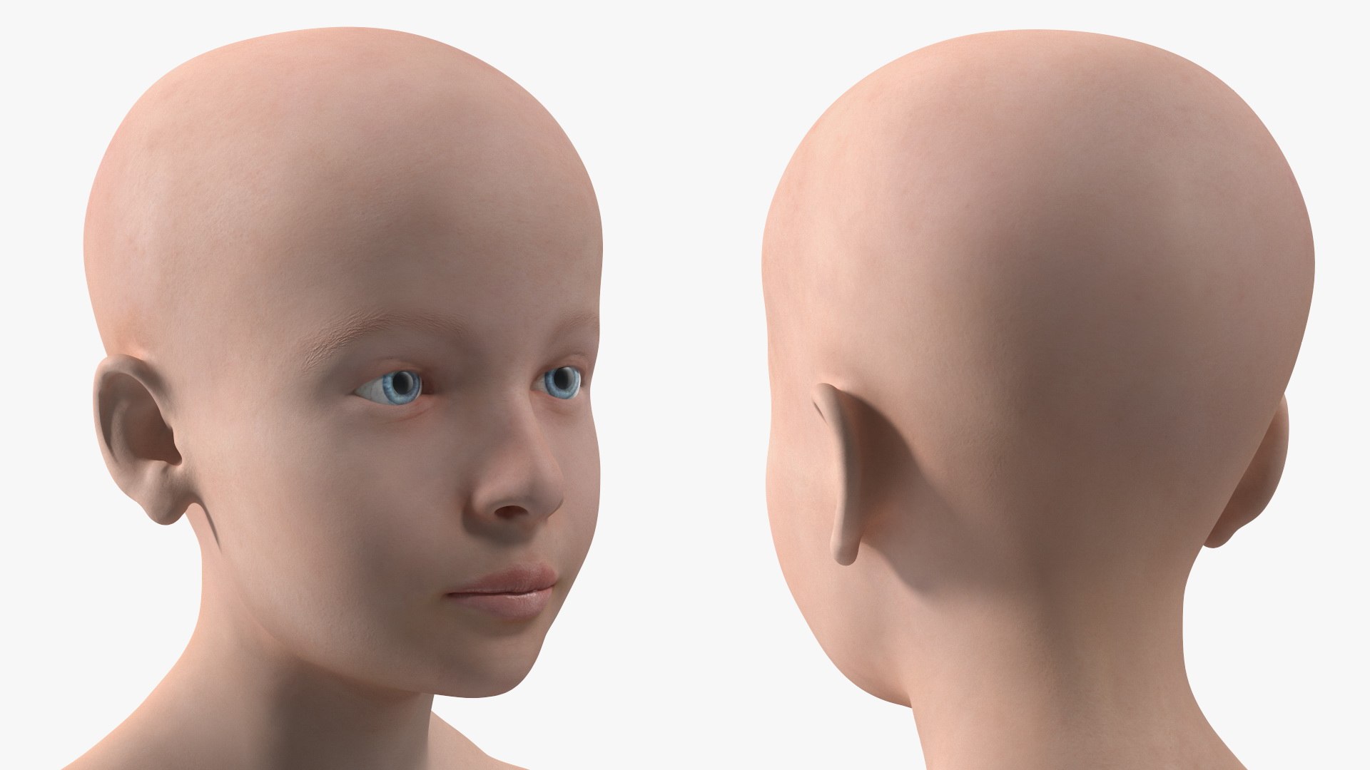 Boy Full Body Anatomy 3D model https://p.turbosquid.com/ts-thumb/2G/NtAV4W/Ng/boyfullbodyanatomyvray3dmodel074/jpg/1667337872/1920x1080/fit_q87/332ed1e9de33e0793c016e2866f1372418338a69/boyfullbodyanatomyvray3dmodel074.jpg