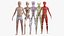 Boy Full Body Anatomy