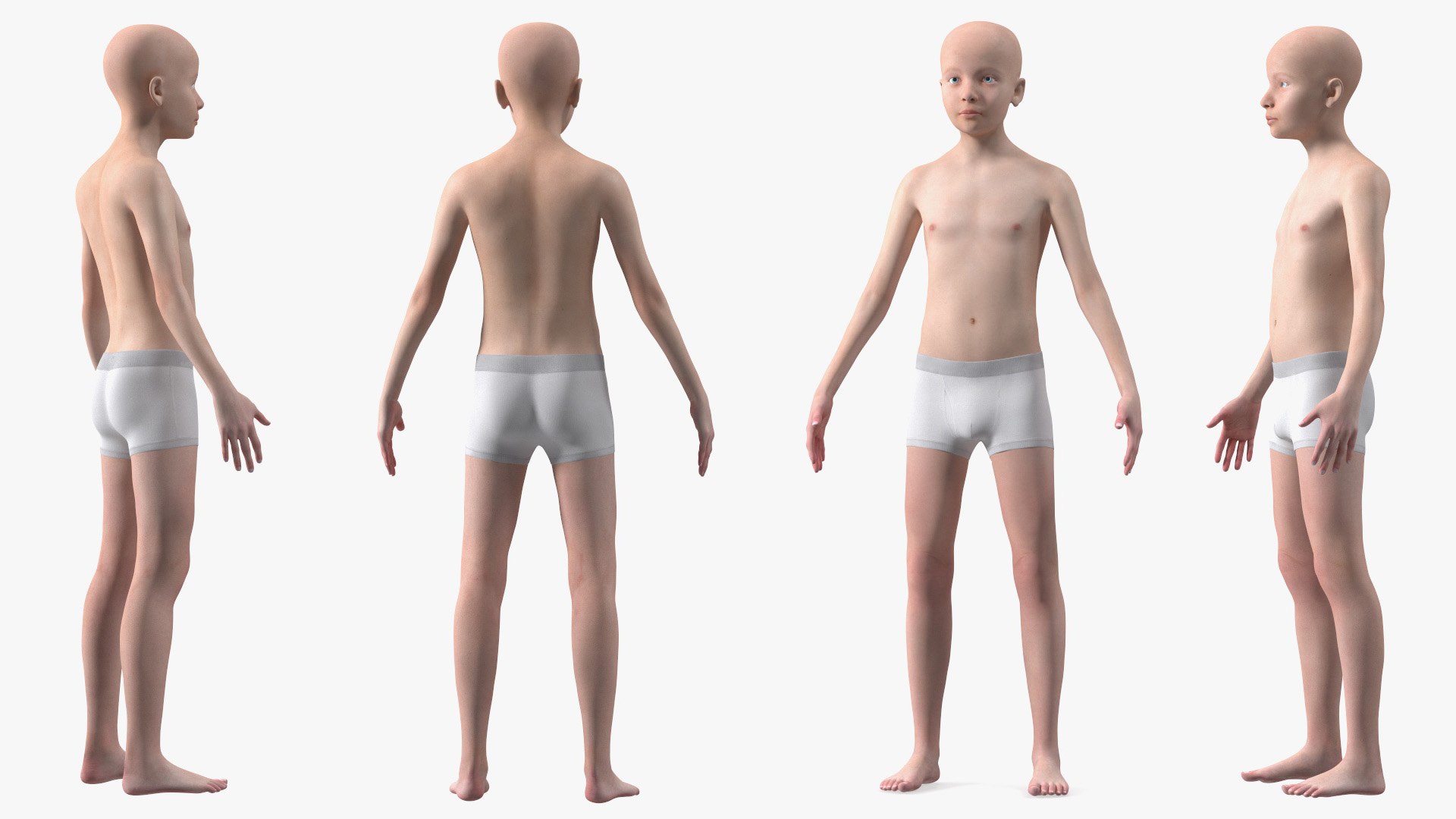 Boy Full Body Anatomy 3D model https://p.turbosquid.com/ts-thumb/2G/NtAV4W/ZI/boyfullbodyanatomyvray3dmodel073/jpg/1667337868/1920x1080/fit_q87/dd782e4b8113abe8a1ea951b9b12359d3ac3d5ac/boyfullbodyanatomyvray3dmodel073.jpg