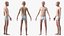 Boy Full Body Anatomy