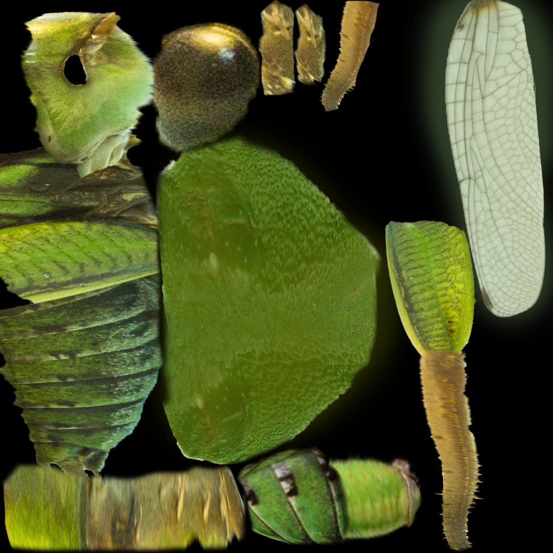 3d Model Hopper Grass