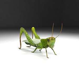 3d model hopper grass