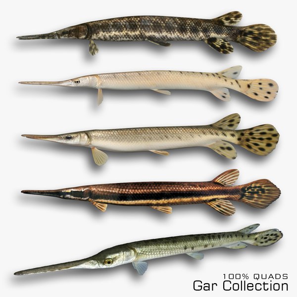 Gar Collection model - TurboSquid 1811822