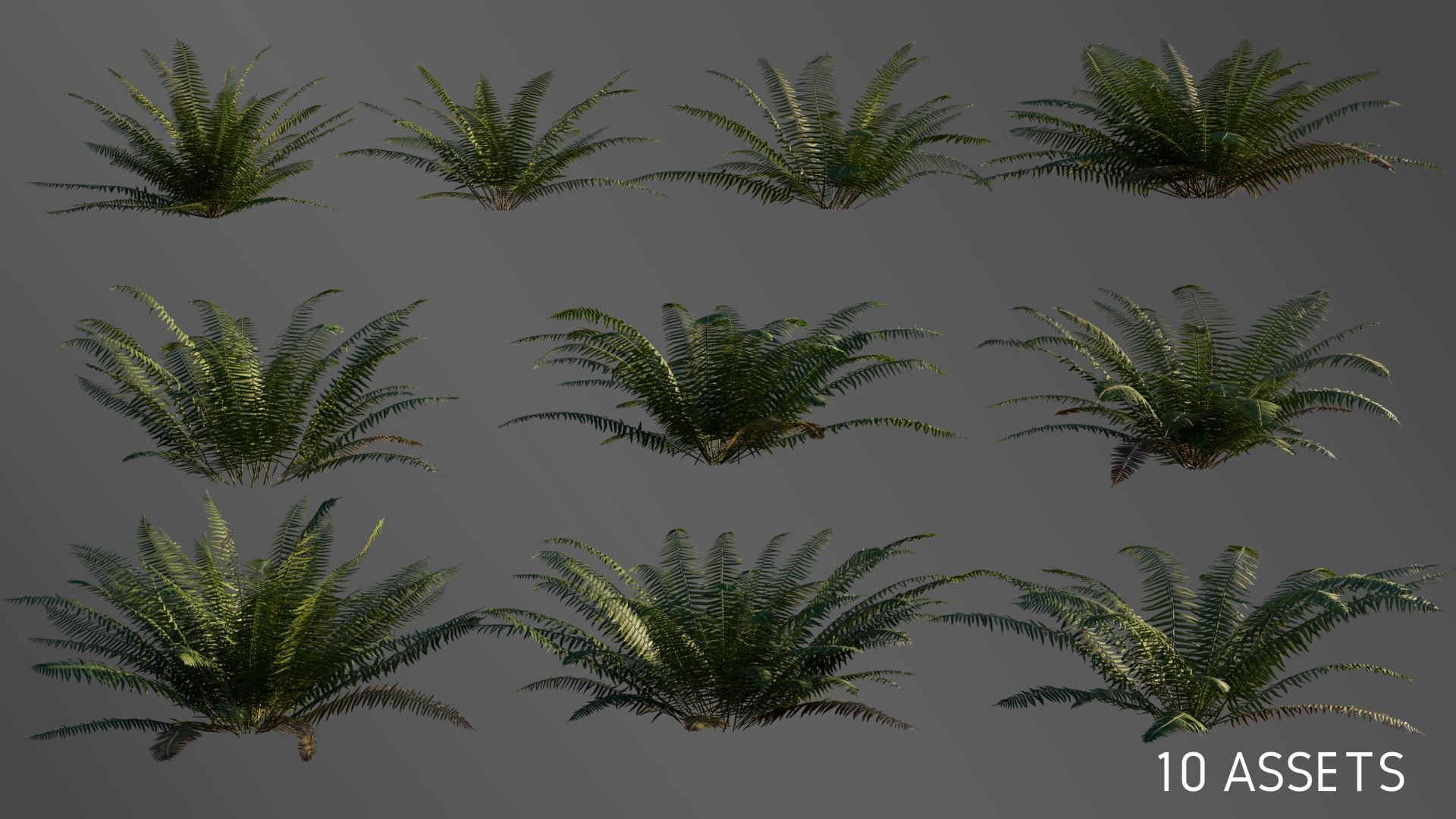 ferns nature plant 3D model https://p.turbosquid.com/ts-thumb/2G/sirDVU/RVcDm1g1/3dfernscollection_04/jpg/1600266188/1920x1080/fit_q87/f90d7719a3c042ffef44daea093d9d3b45fc0ce4/3dfernscollection_04.jpg