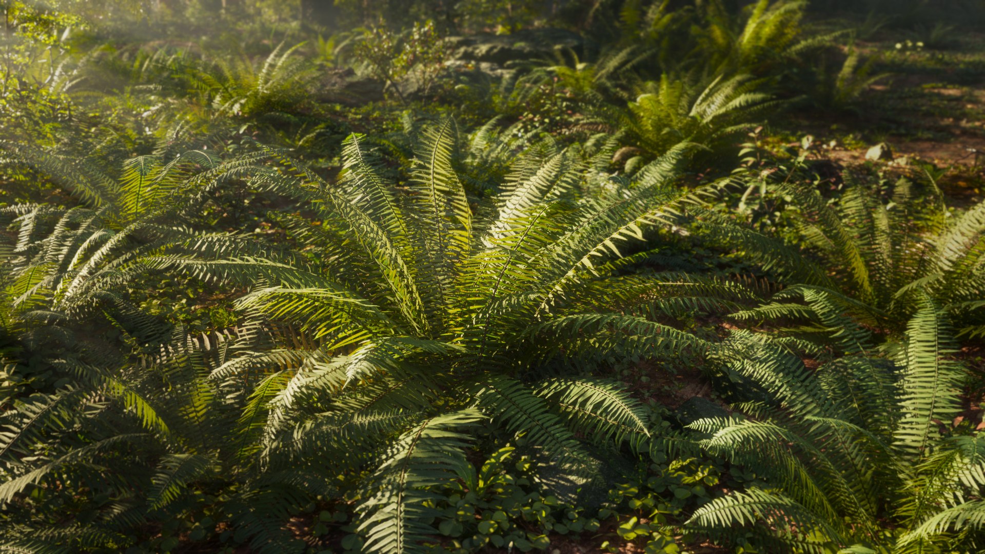 ferns nature plant 3D model https://p.turbosquid.com/ts-thumb/2G/sirDVU/rBXbW1kK/3dfernscollection_02/jpg/1600266189/1920x1080/fit_q87/31aad38e267dbd421d7e54f855d6bda10d050b81/3dfernscollection_02.jpg