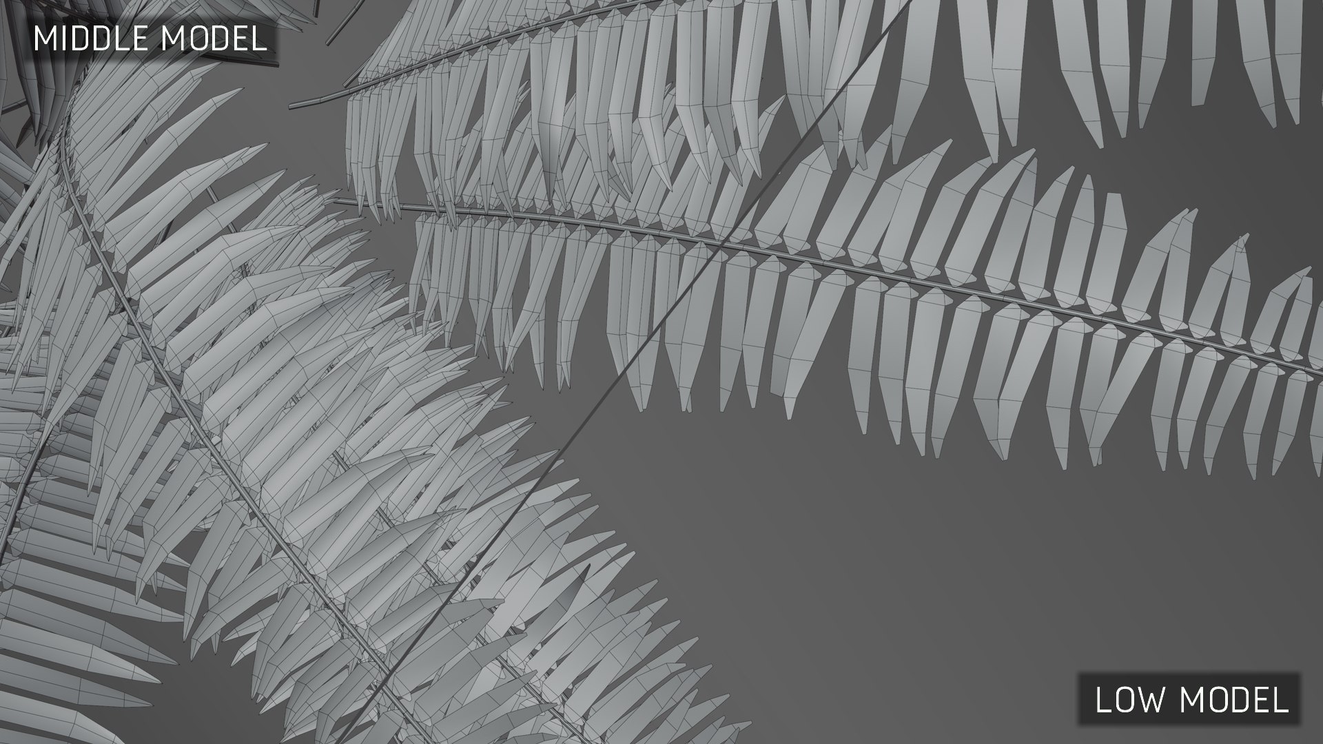 ferns nature plant 3D model https://p.turbosquid.com/ts-thumb/2G/sirDVU/to8plZvC/3dfernscollection_06/jpg/1600266191/1920x1080/fit_q87/e22464800ffbff31b1e5fedf2d40bd2e12d4924e/3dfernscollection_06.jpg
