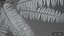 3D Ferns Collection