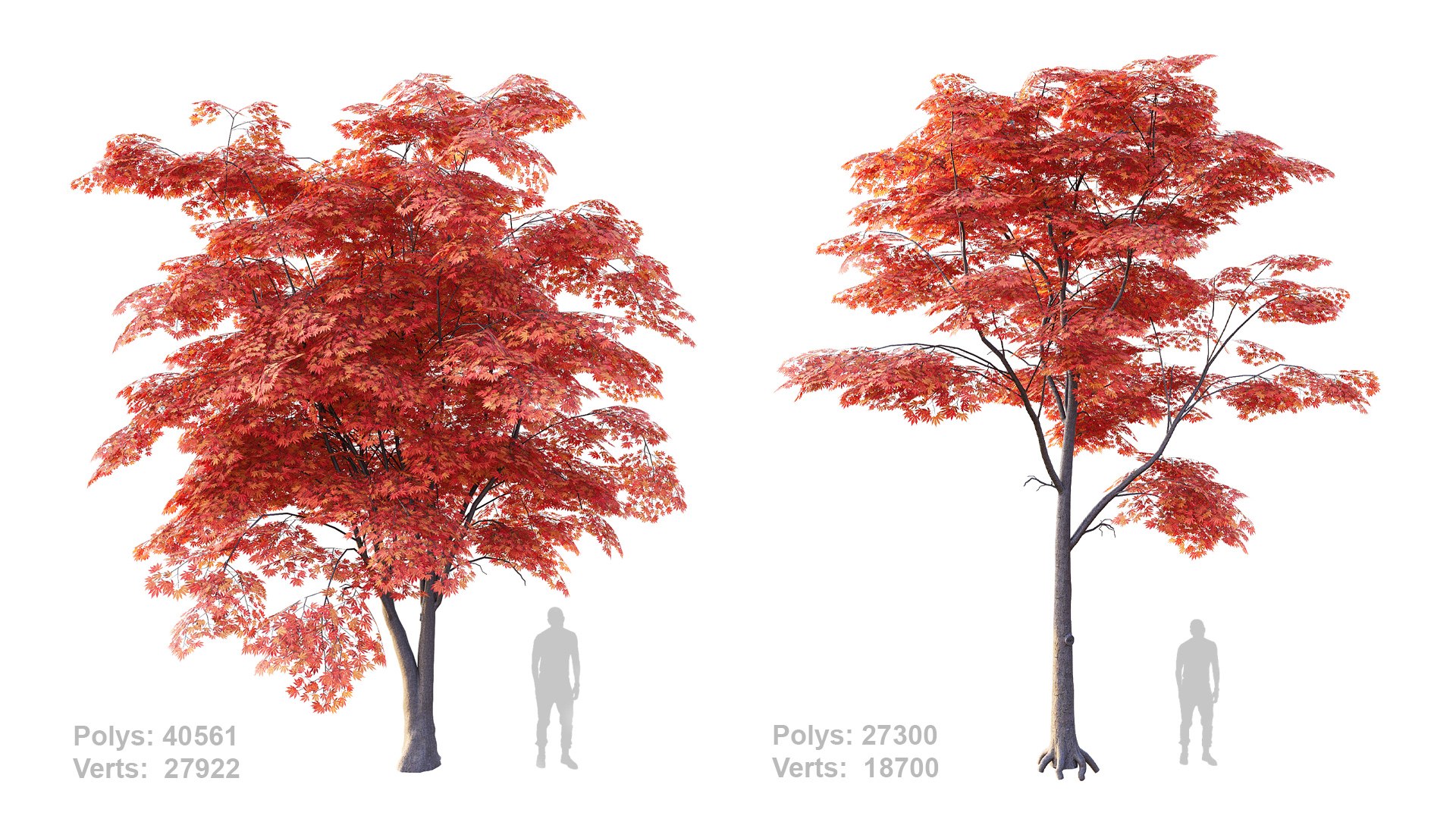 Japanese Maple Set 4K PBR 3D Model - TurboSquid 2408166