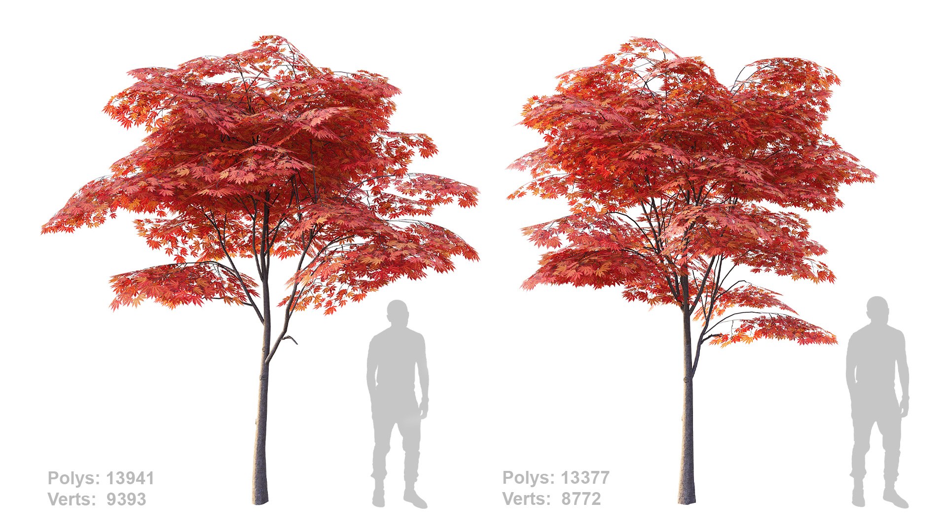 Japanese Maple Set 4K PBR 3D Model - TurboSquid 2408166